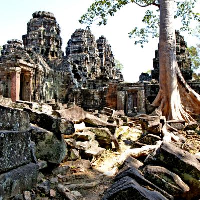 Visita guidata valle di Angkor Siem Reap Cambogia